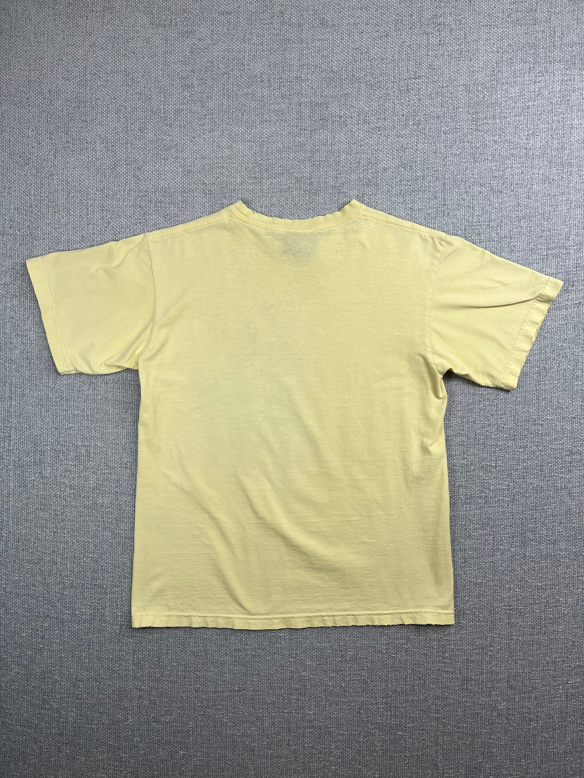 Y2K Southpole T-Shirt