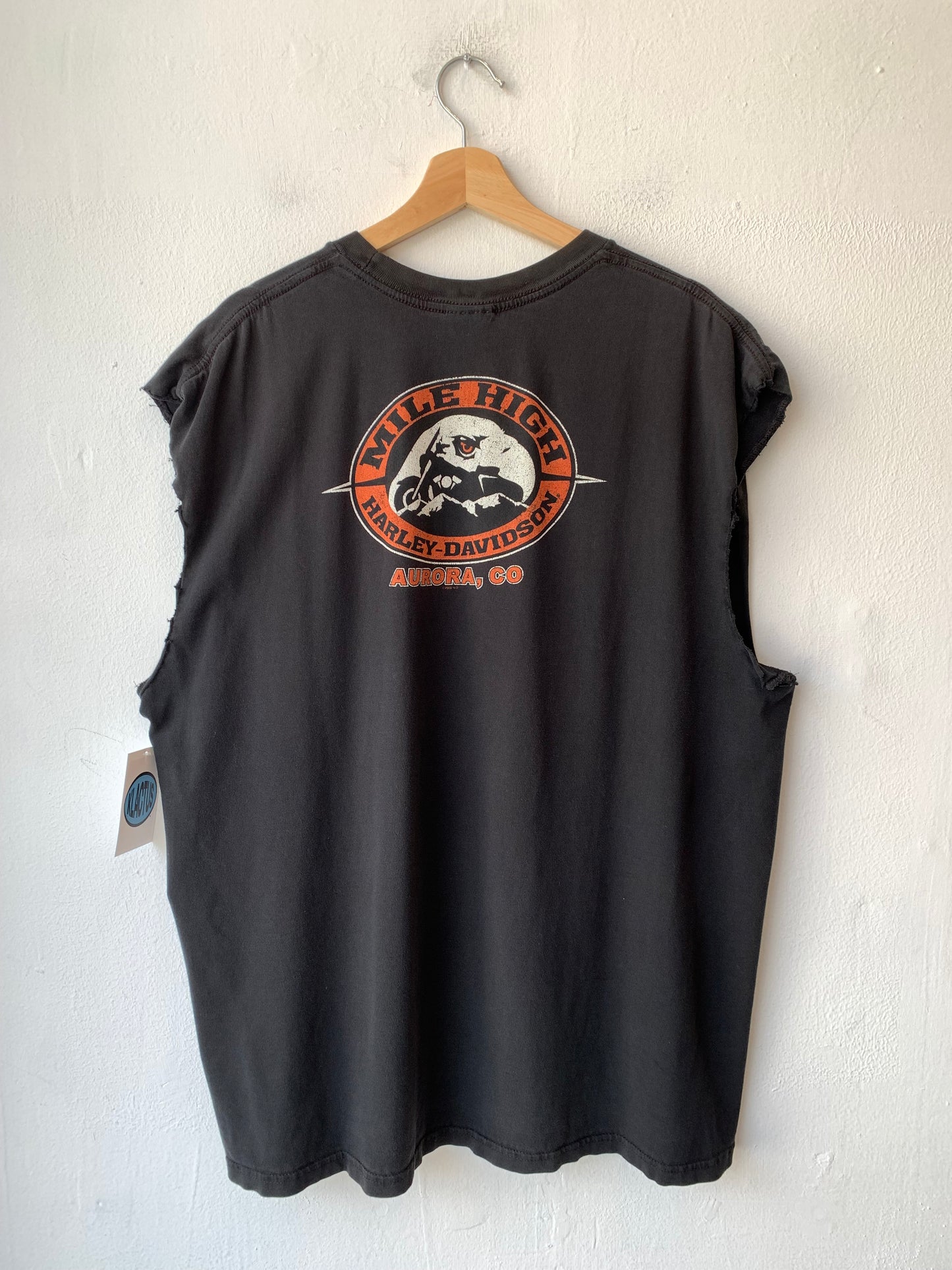 Y2K Harley Aurora Cutoff Shirt