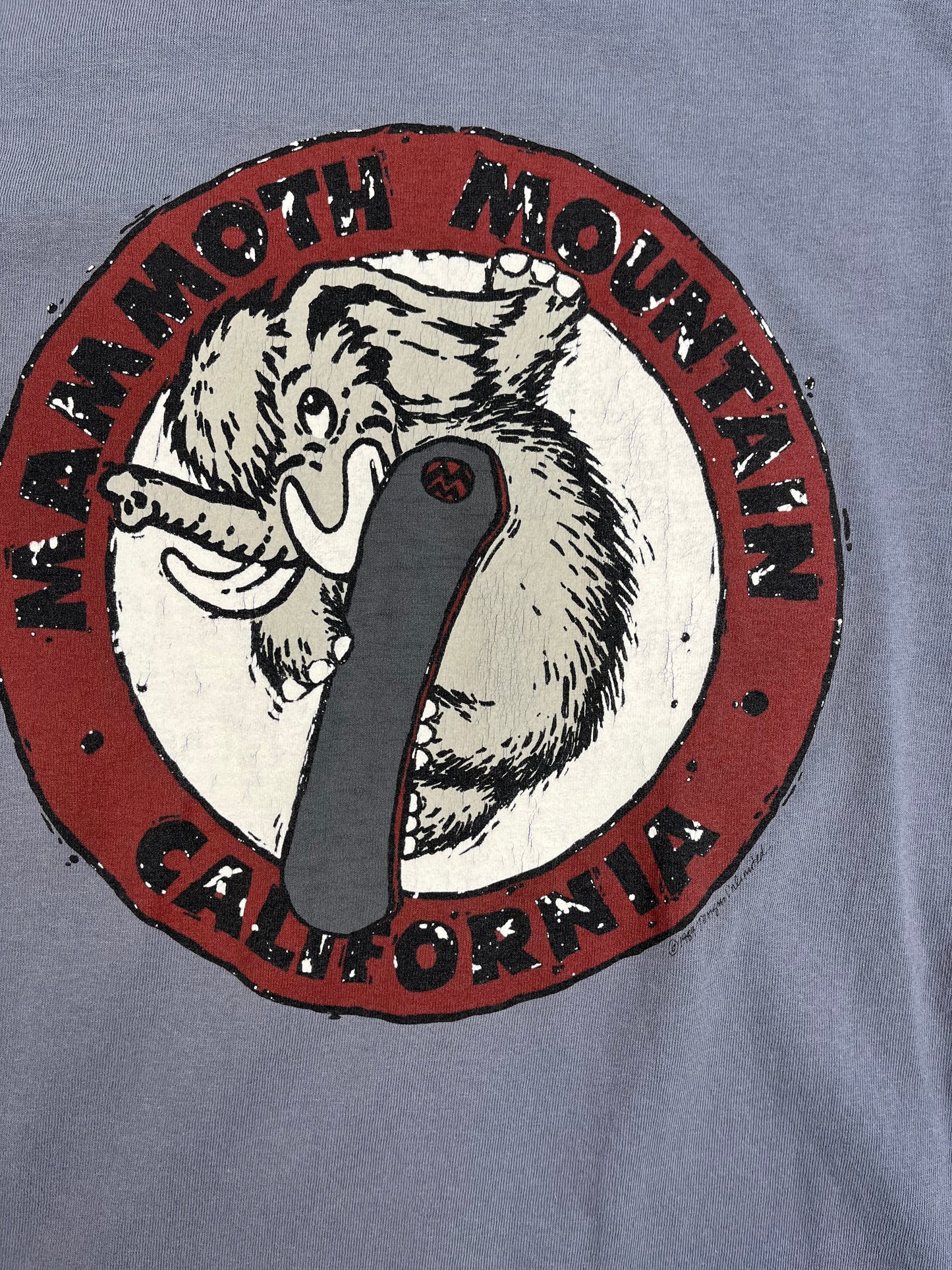 90's Mammoth Mountain Long Sleeve Shirt