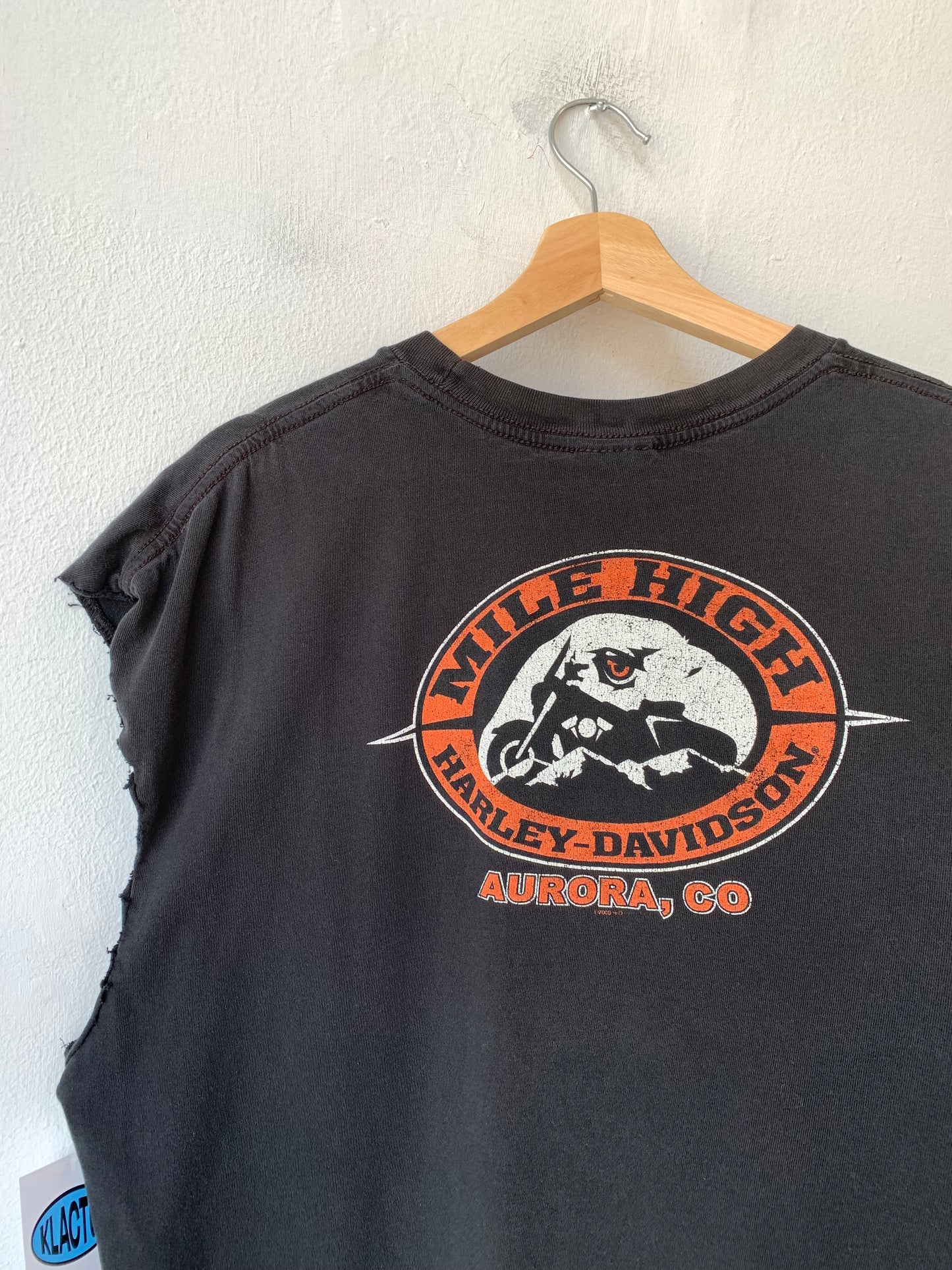 Y2K Harley Aurora Cutoff Shirt