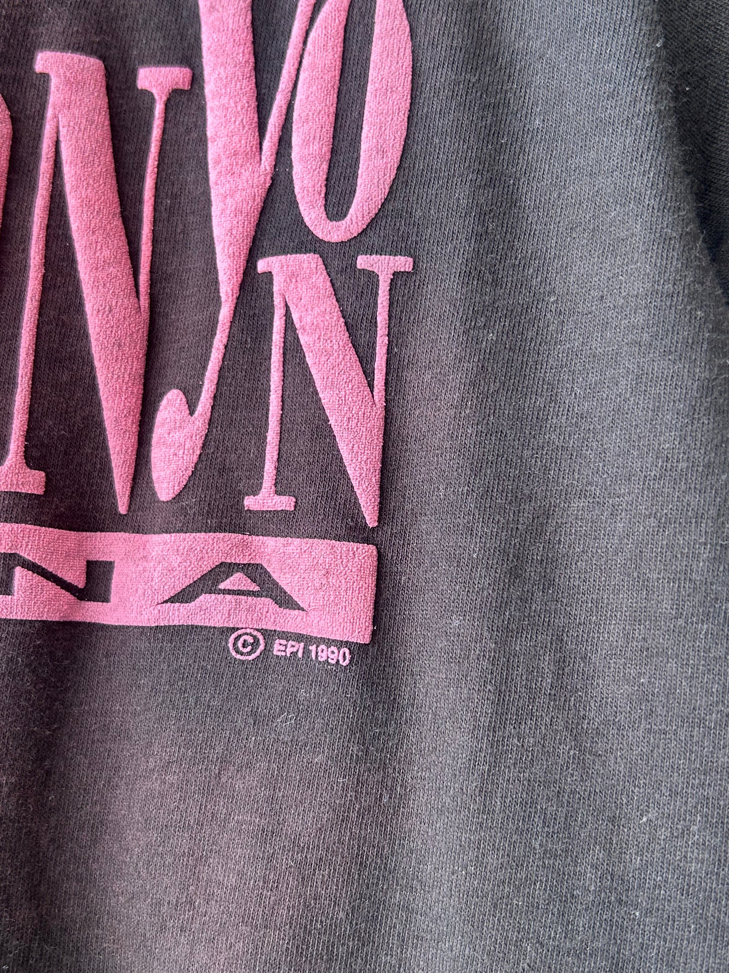 90's Grand Canyon Baby Tee