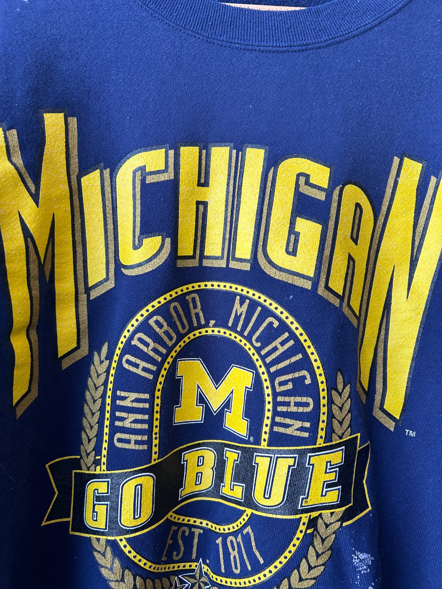 90's Michigan Sweatshirt