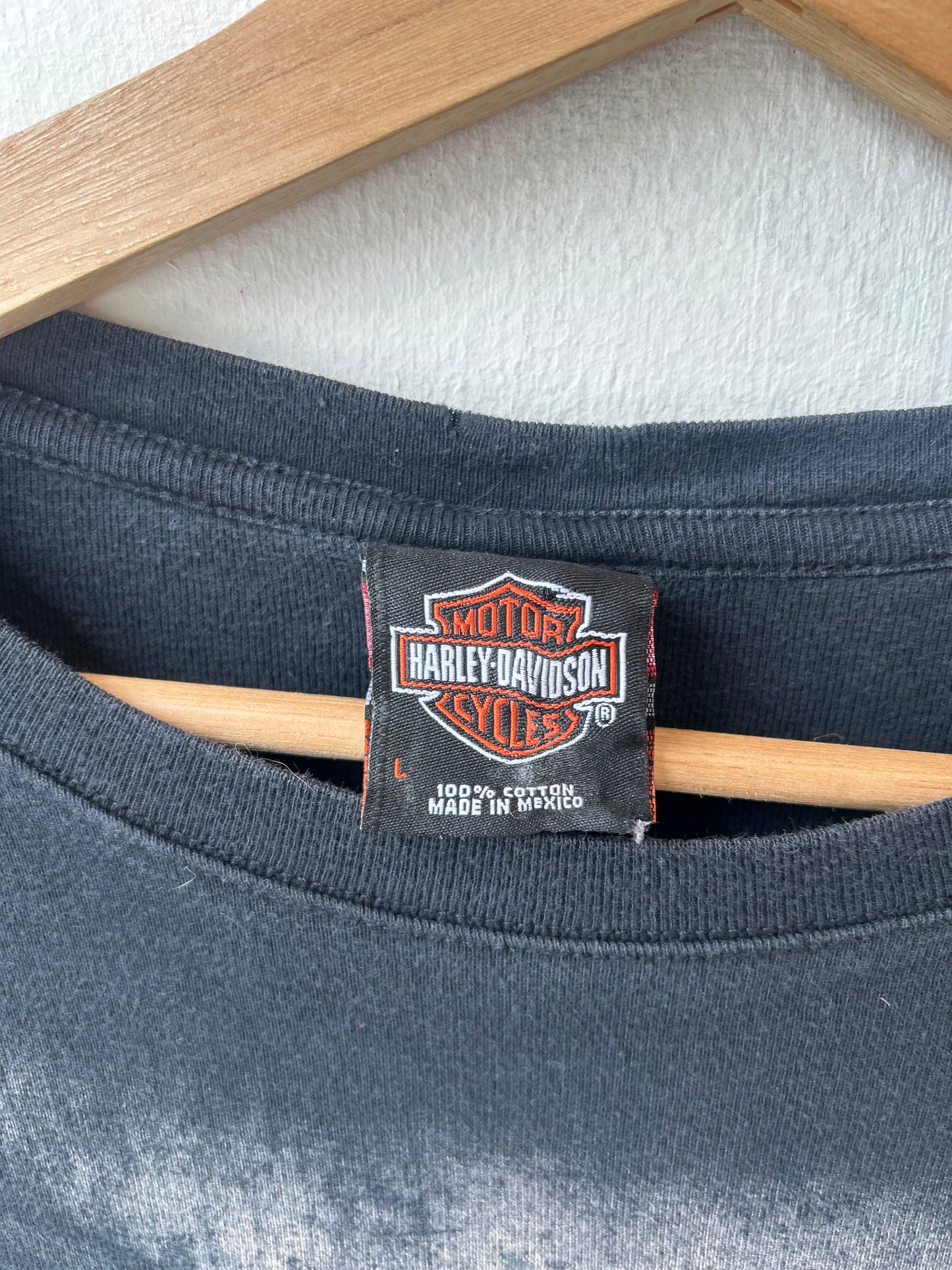 Y2K Harley Davidson Minneapolis Long Sleeve Top