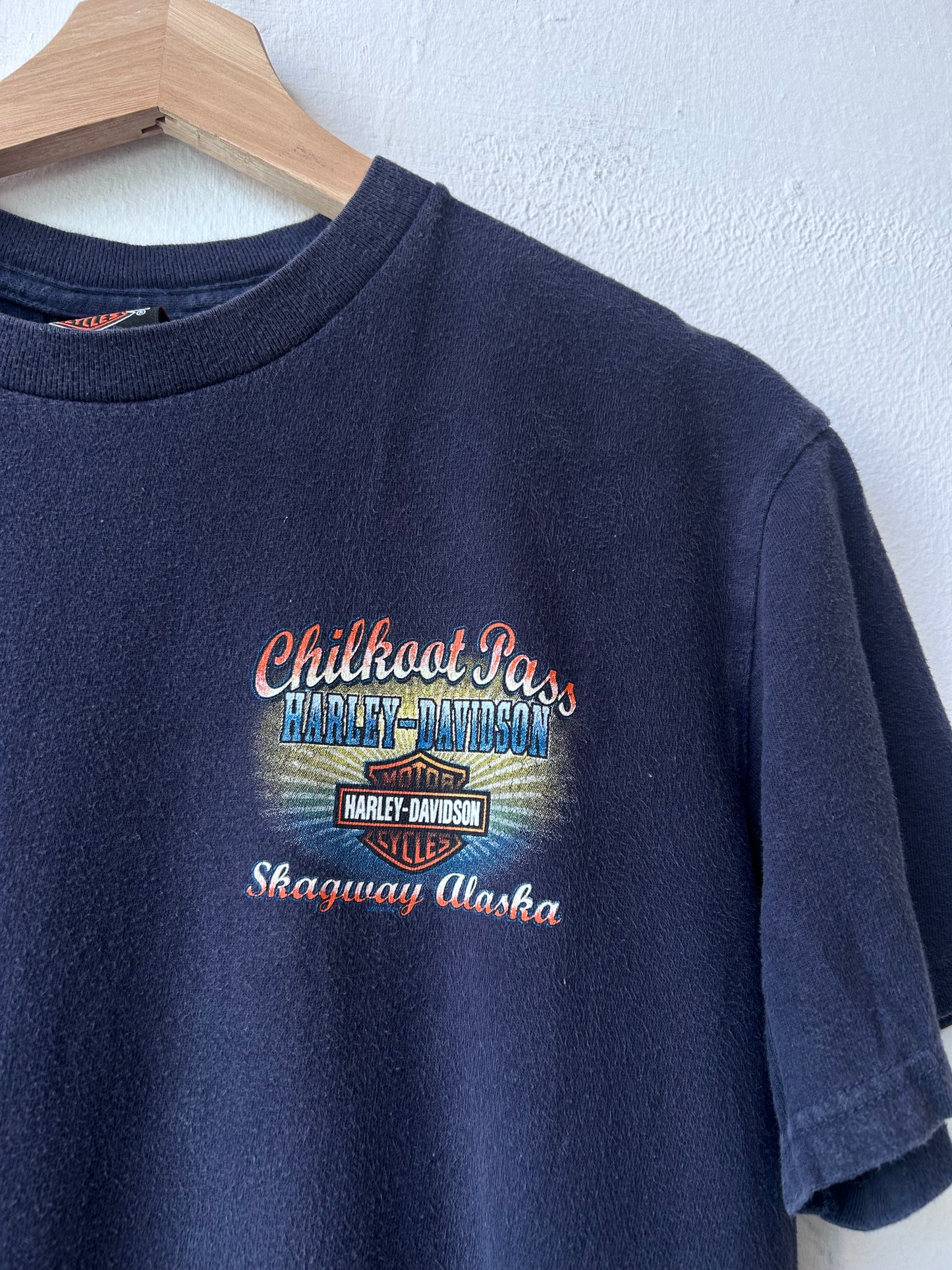 Y2K Harley Davidson Alaska T-Shirt