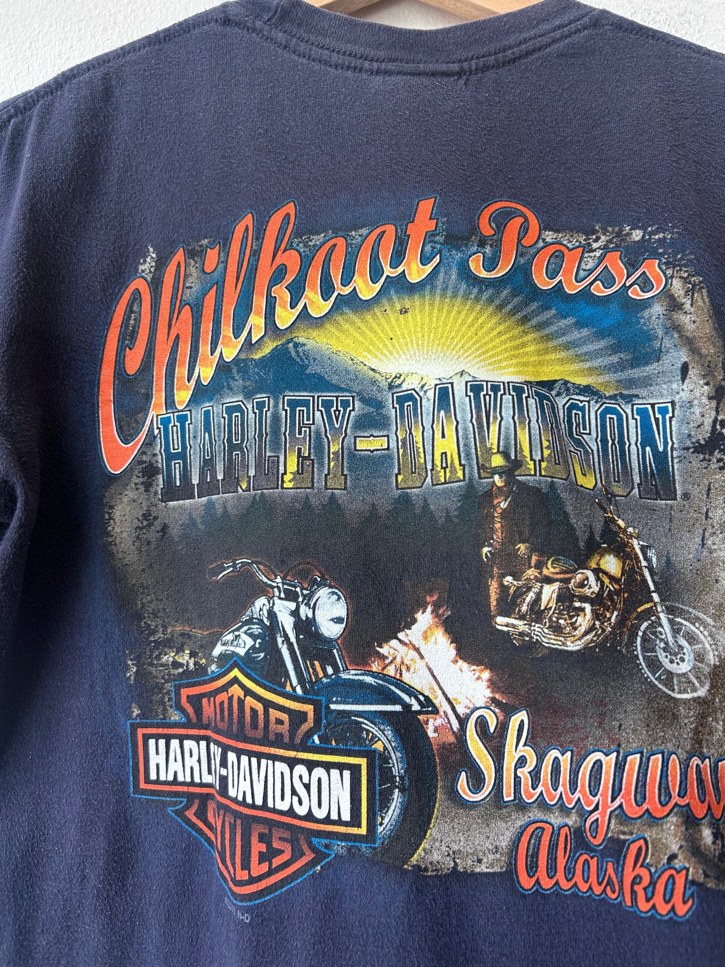 Y2K Harley Davidson Alaska T-Shirt