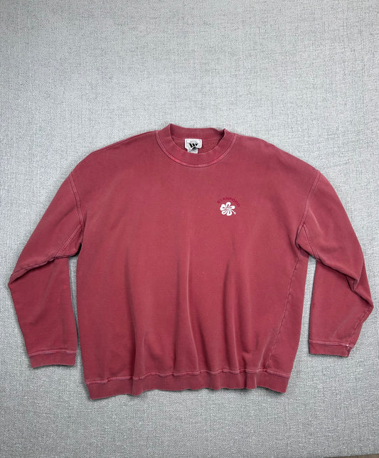 90's Stanford Sweatshirt