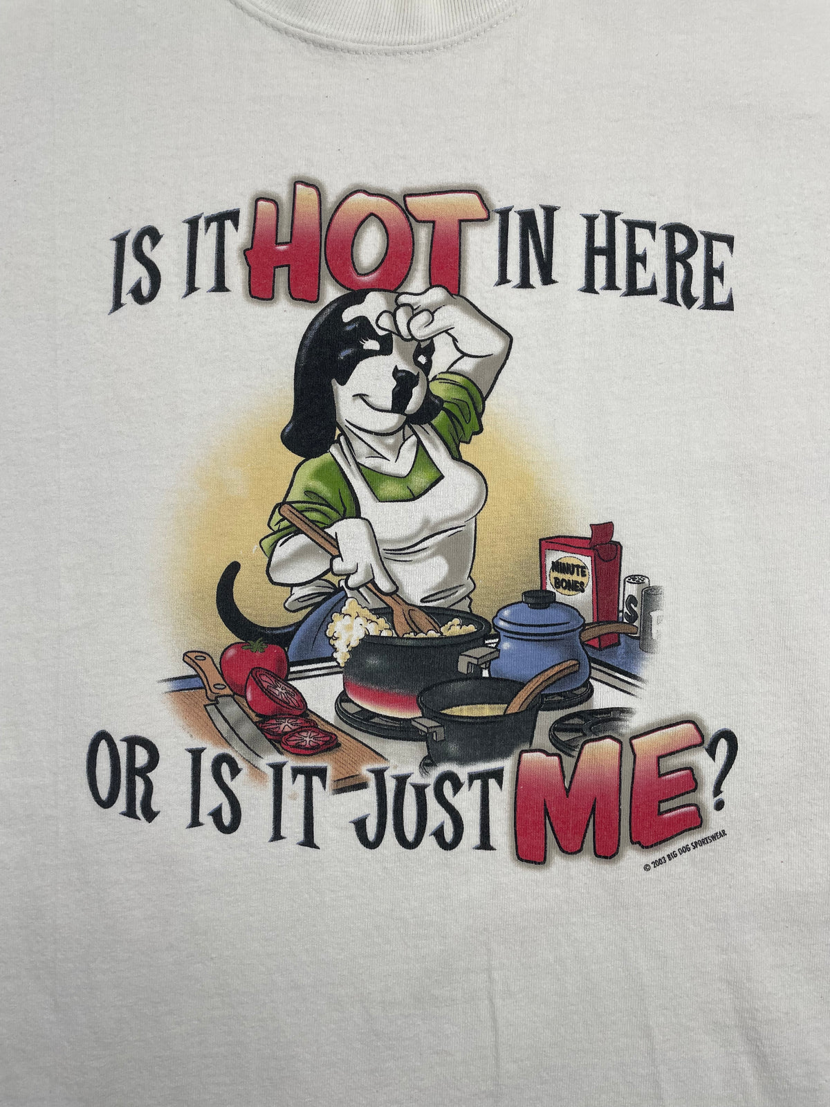 2003 Big Dogs Hot in Here T-Shirt