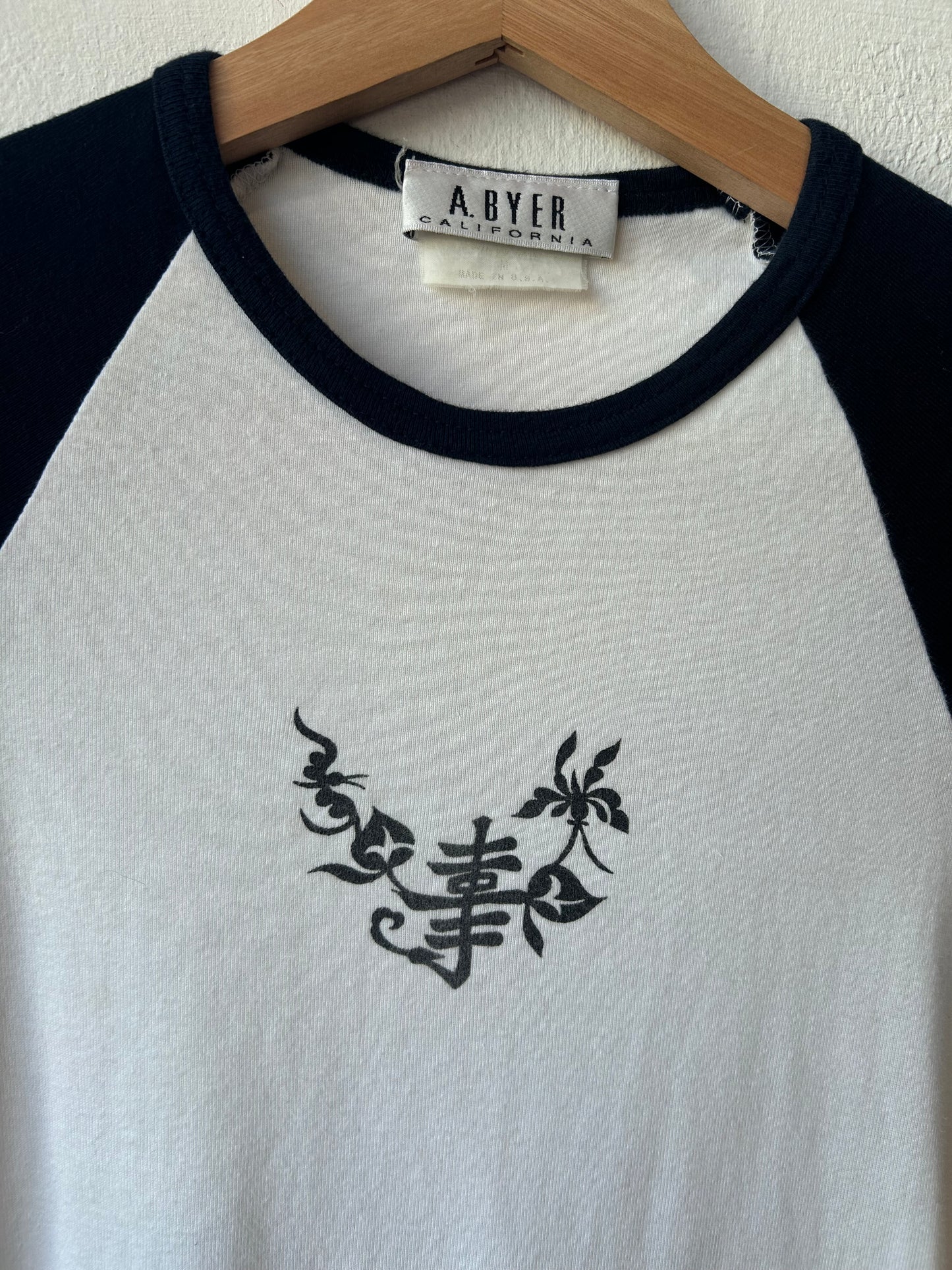 Y2K Chinese Symbol Raglan Top