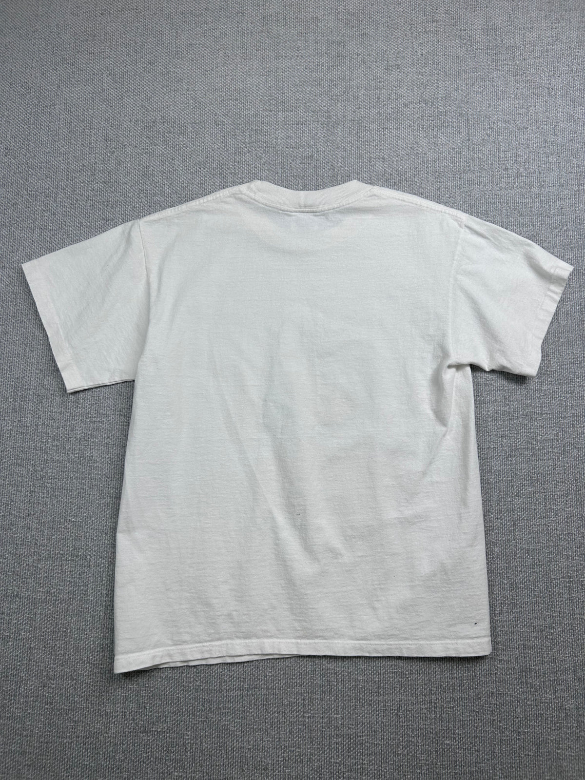 1995 CHOC Disneyland Walk T-Shirt