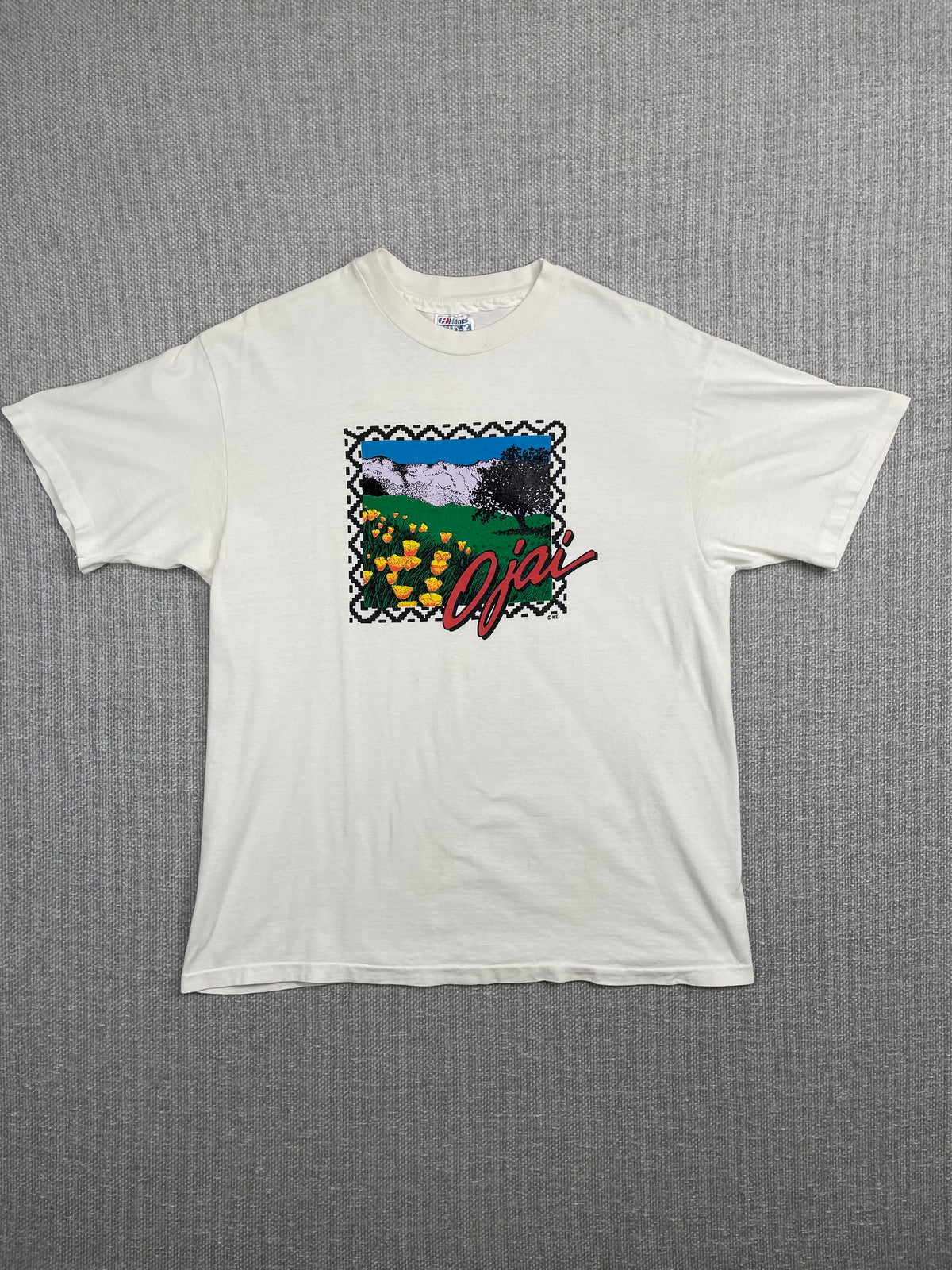 90's Ojai T-Shirt