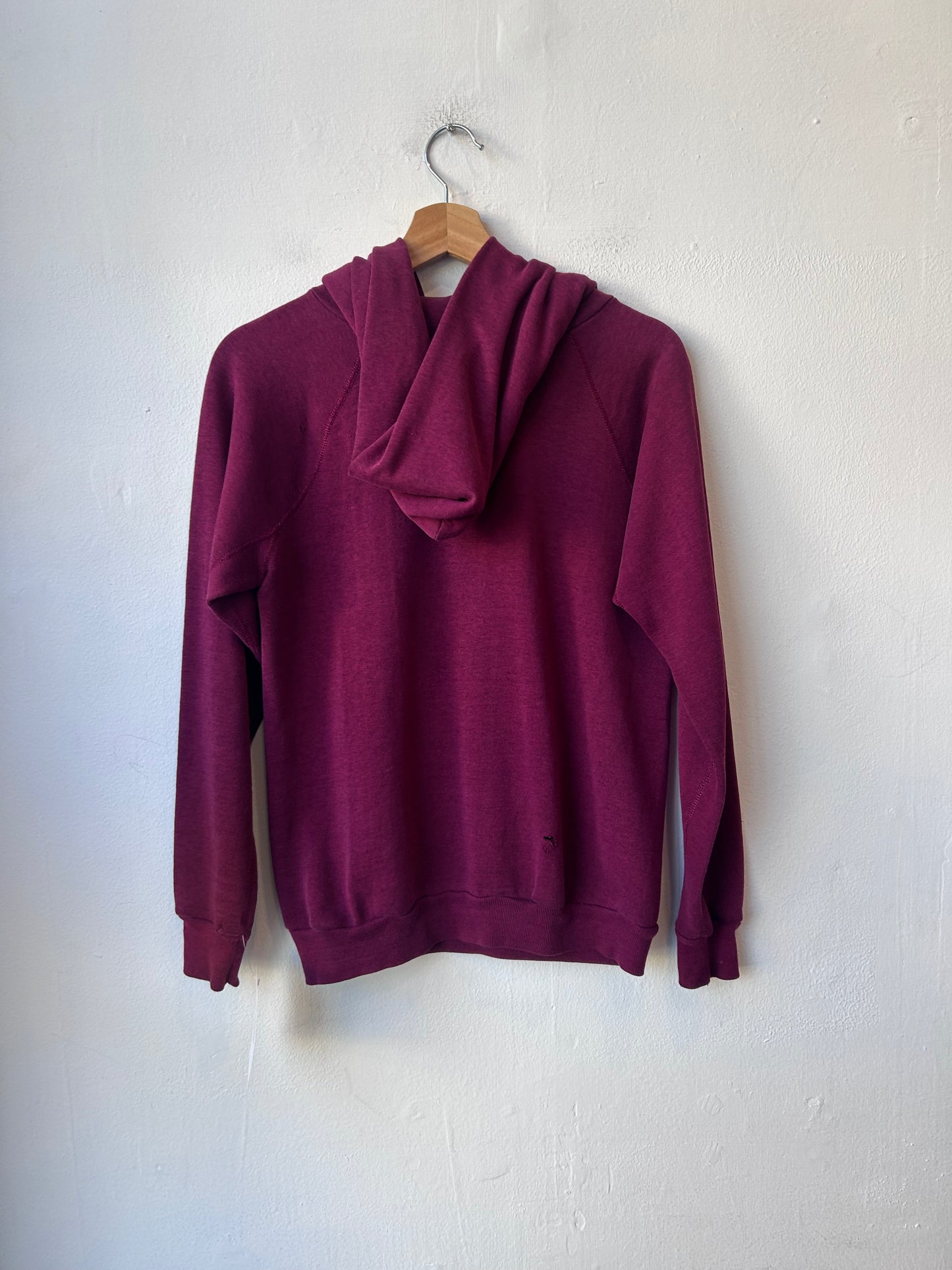 90's Eastern Kentucky Swimming Hoodie