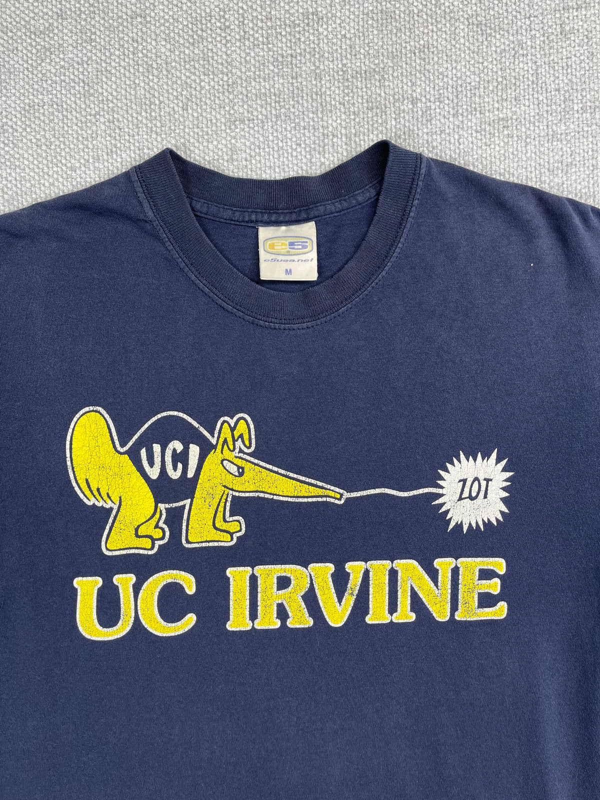 Y2K UC Irvine T-Shirt