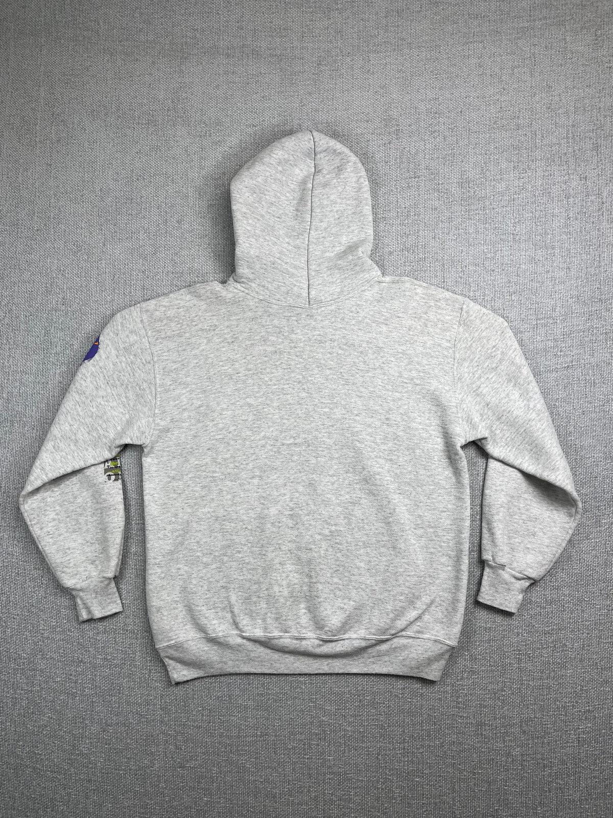 1991 Artodactyl Hoodie