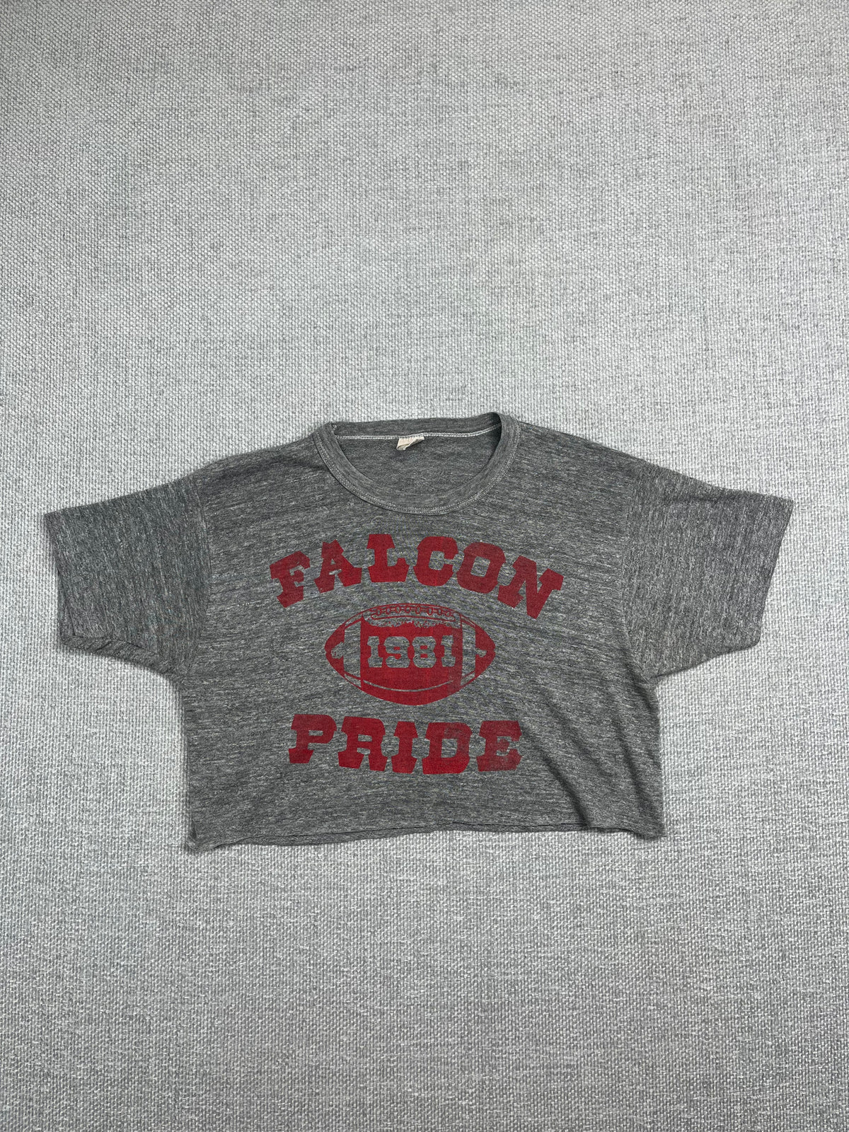 1981 Cropped Falcon T-Shirt