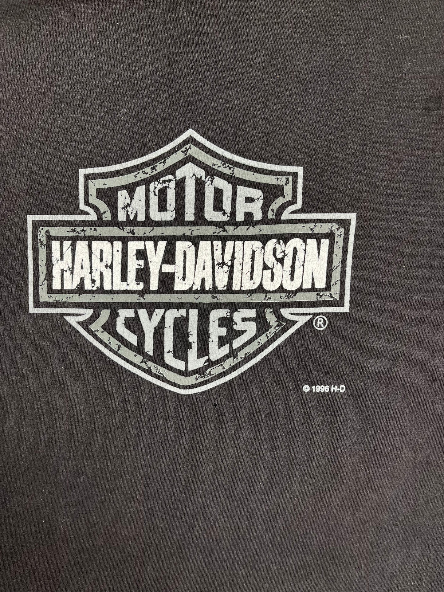 1999 Harley Davidson T-Shirt