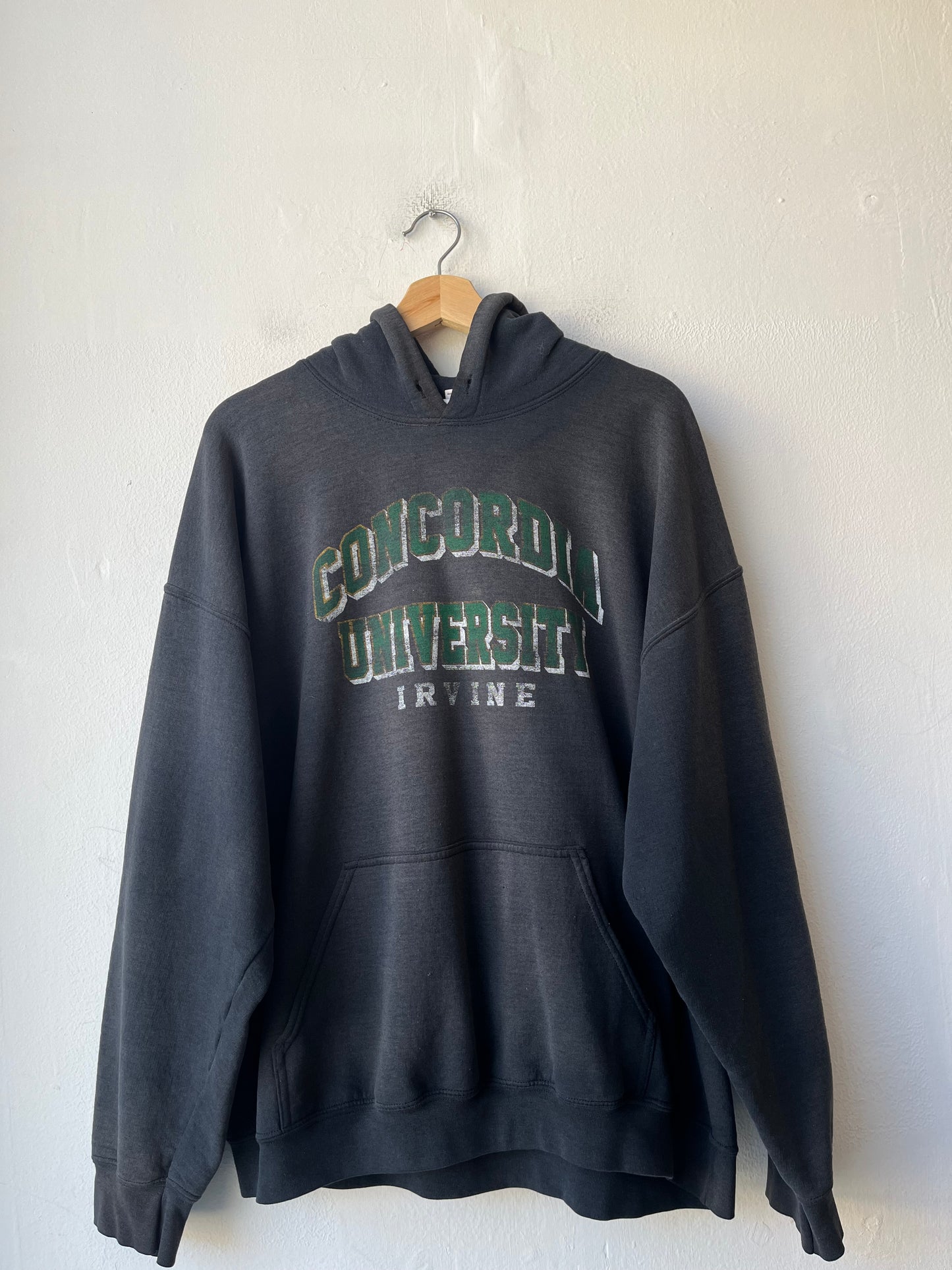 Y2K Concordia Faded Hoodie