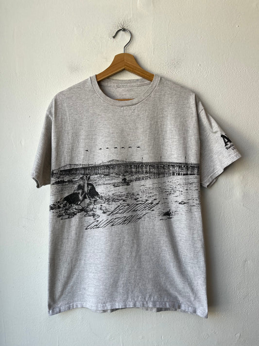Y2K Ventura Gray T-Shirt