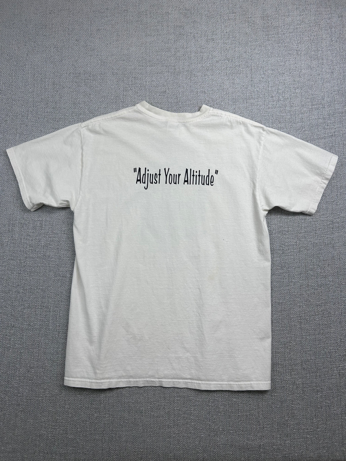 Y2K Temecula Hot Air Balloon T-Shirt