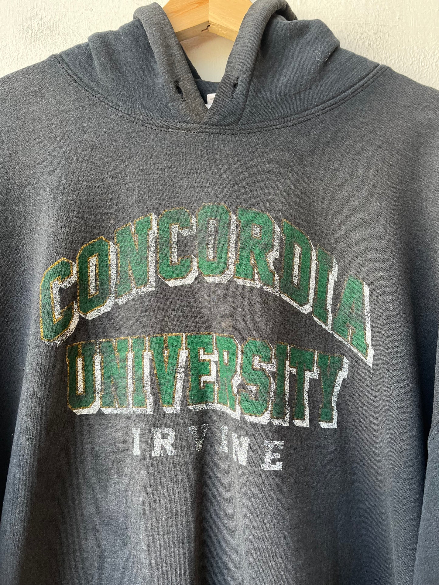 Y2K Concordia Faded Hoodie