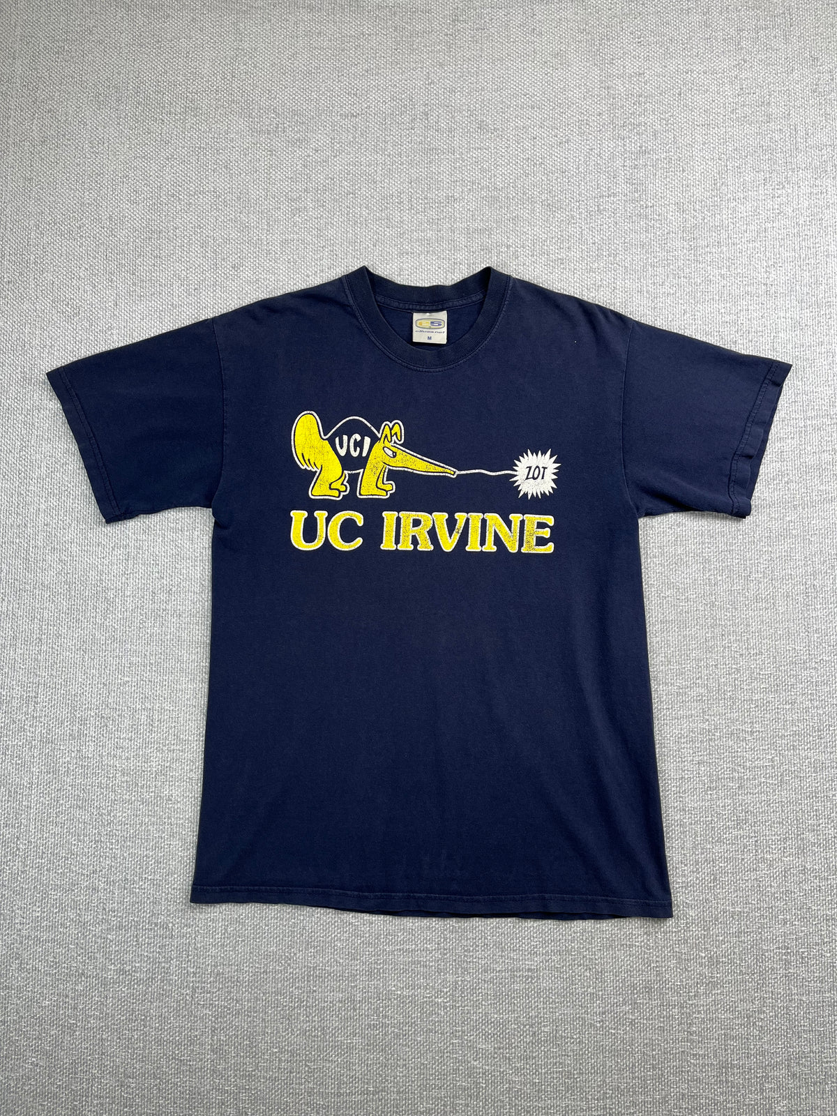 Y2K UC Irvine T-Shirt