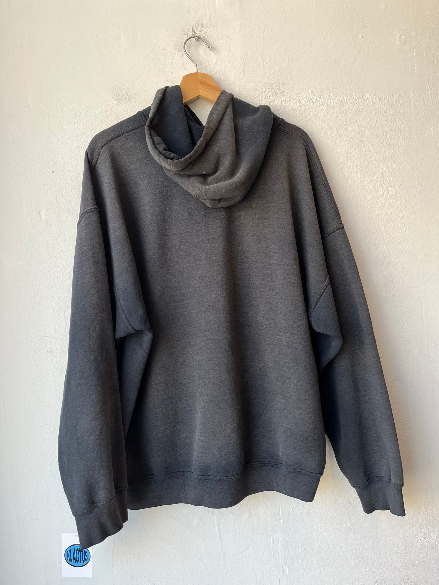 Y2K Concordia Faded Hoodie