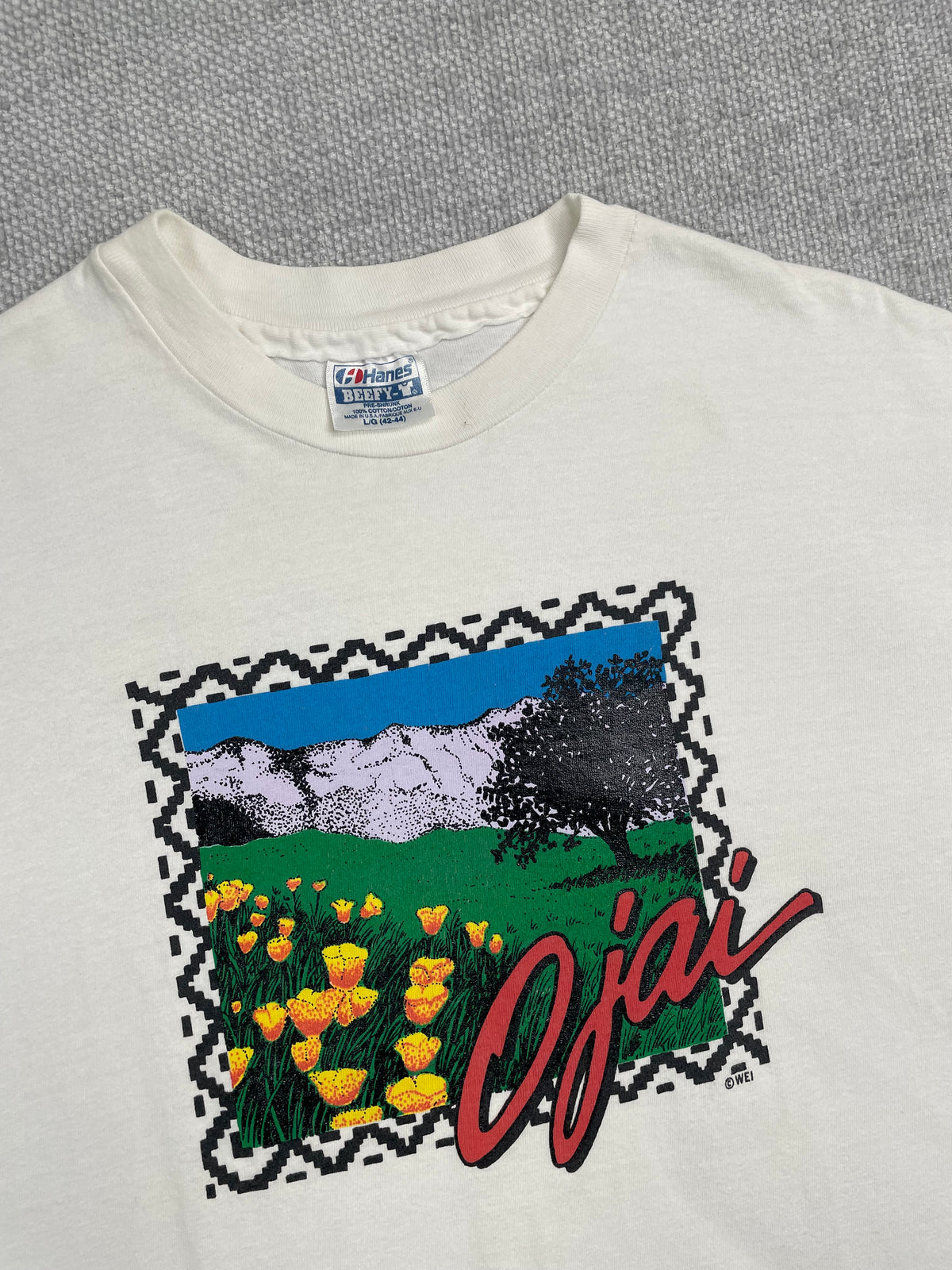90's Ojai T-Shirt