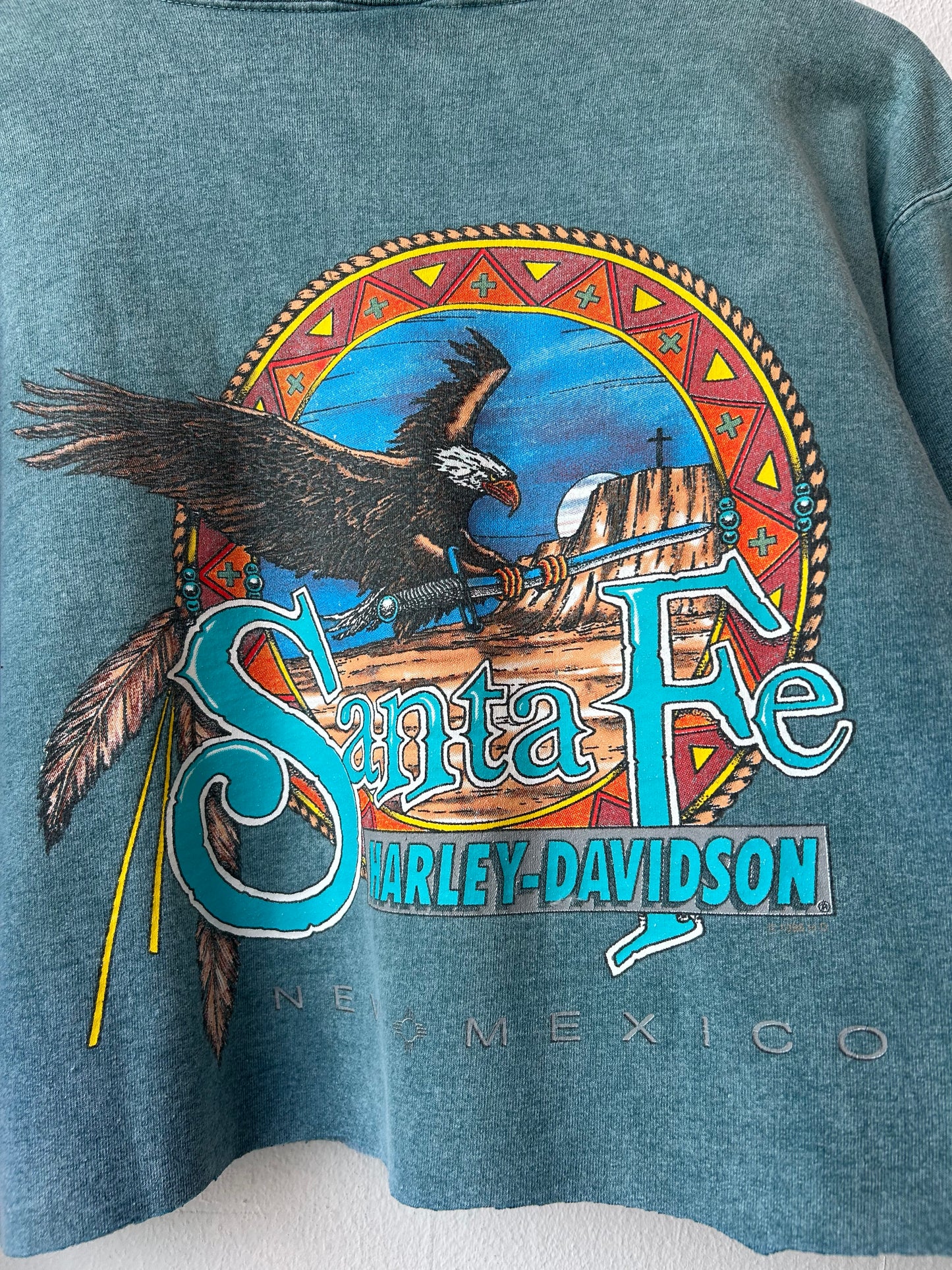 1999 Harley Santa Fe Cropped Sweatshirt