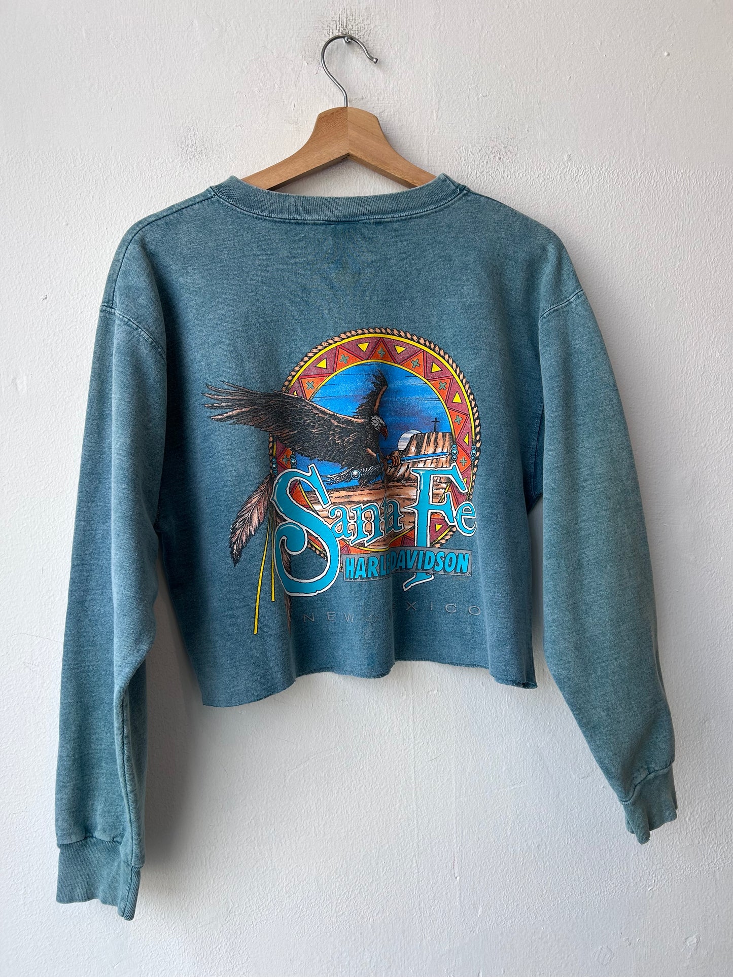 1999 Harley Santa Fe Cropped Sweatshirt