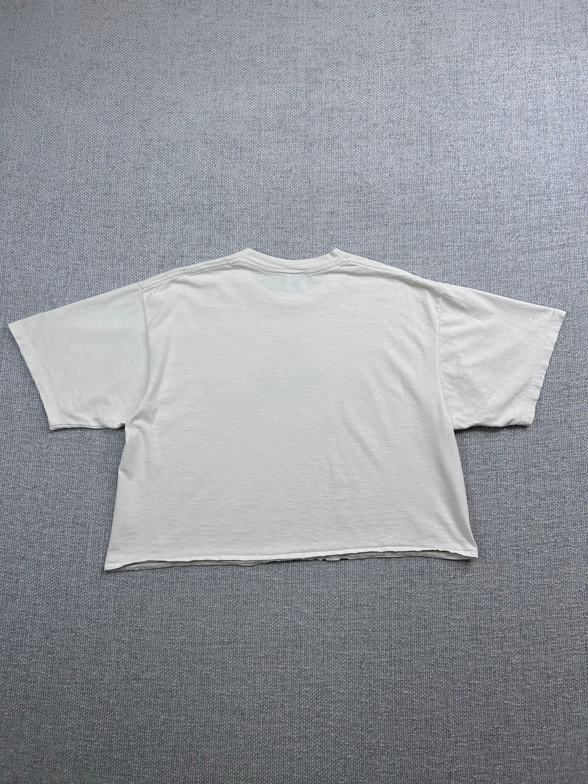 1993 Tweety Cropped T-Shirt