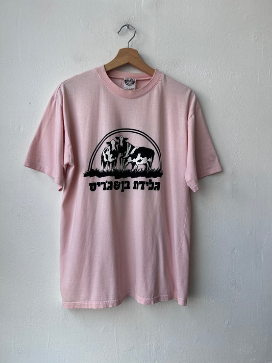 Y2K Hebrew Ben & Jerry's T-Shirt