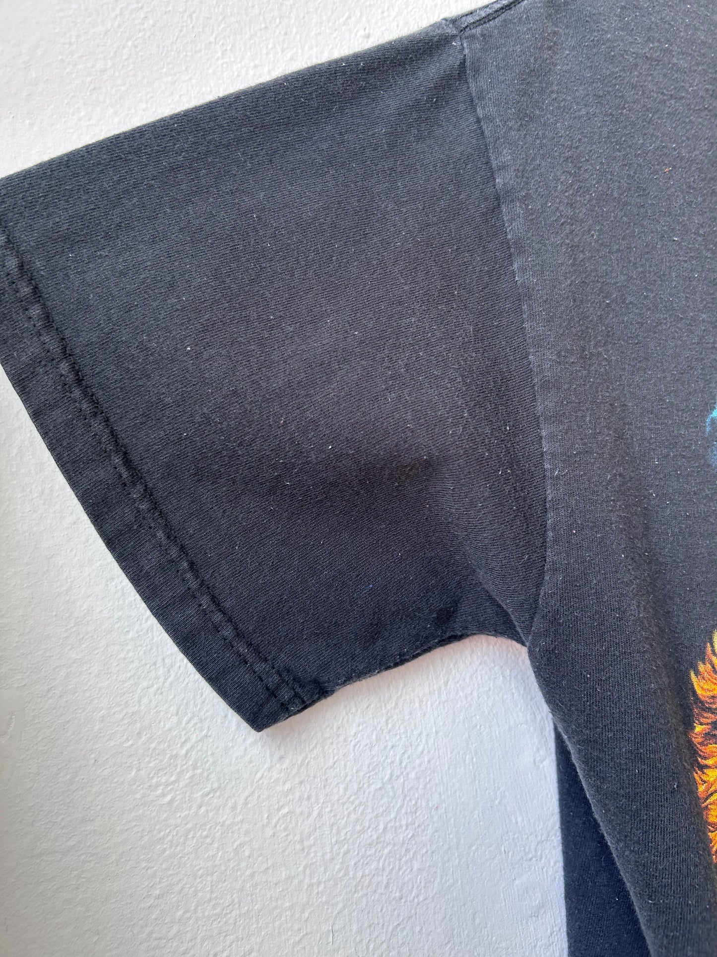 Y2K Busch Gardens T-Shirt