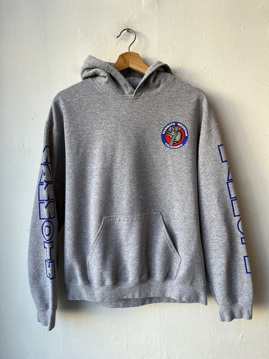 Y2K Mammoth Mountain Hoodie