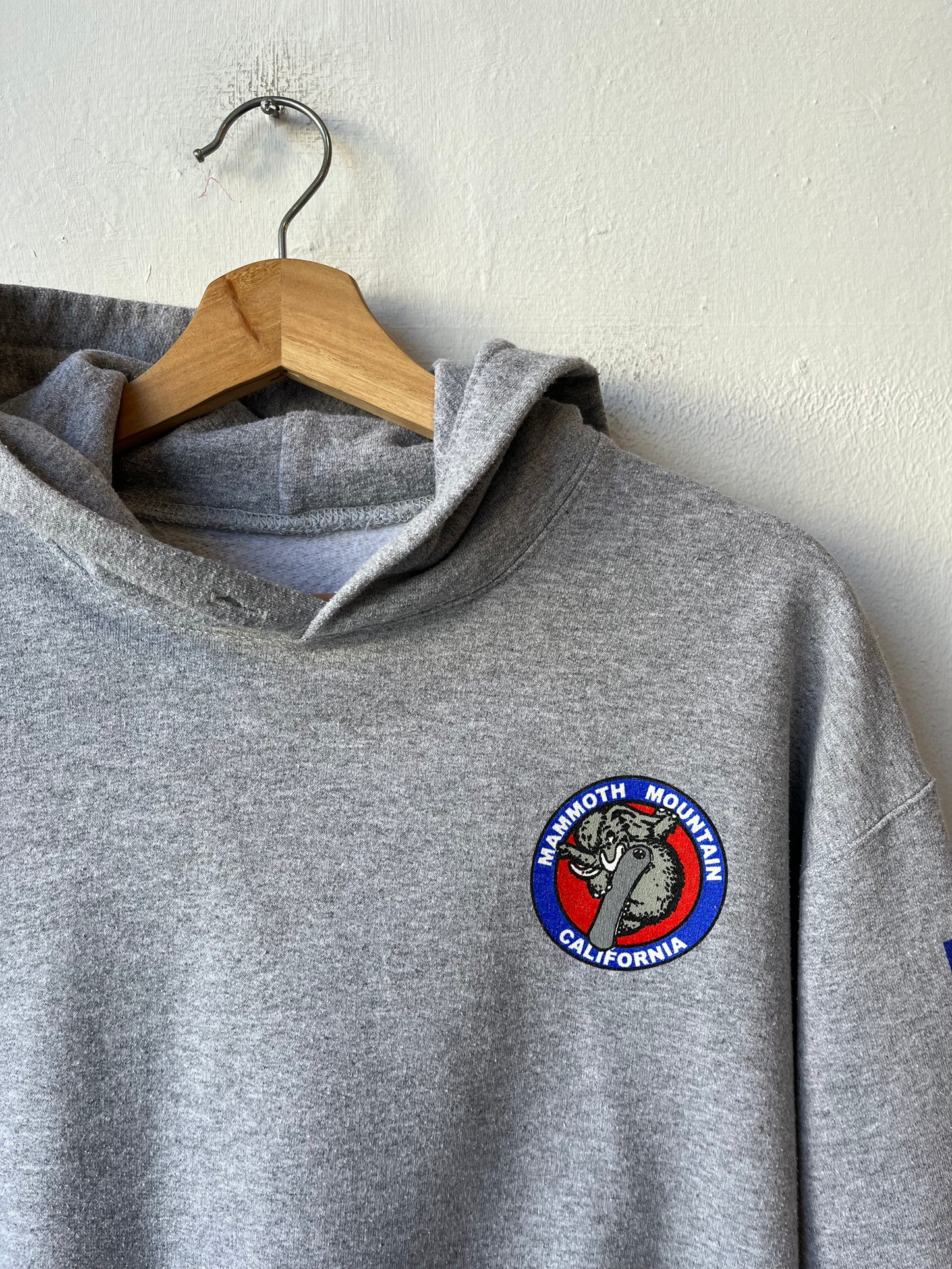 Y2K Mammoth Mountain Hoodie