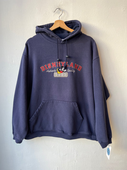 Y2K Disneyland Hoodie