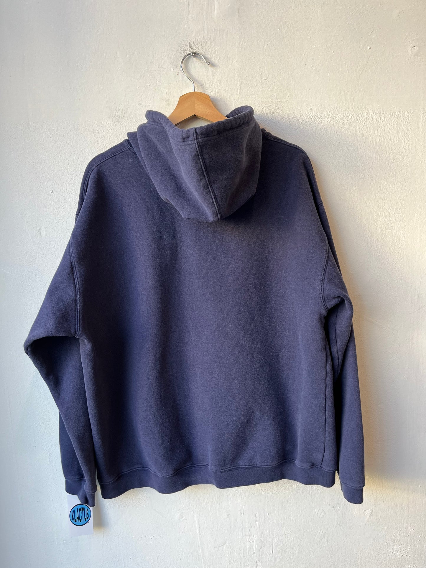 Y2K Disneyland Hoodie