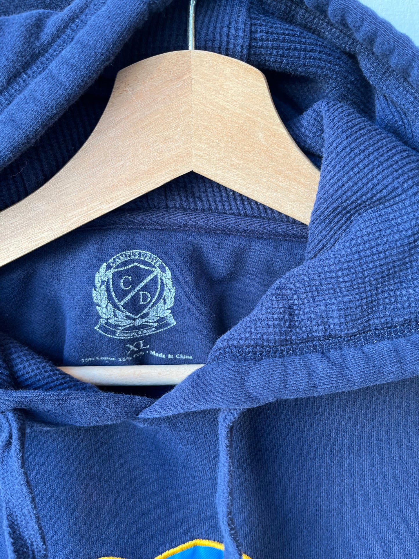 Y2K UCLA Bruins Hoodie