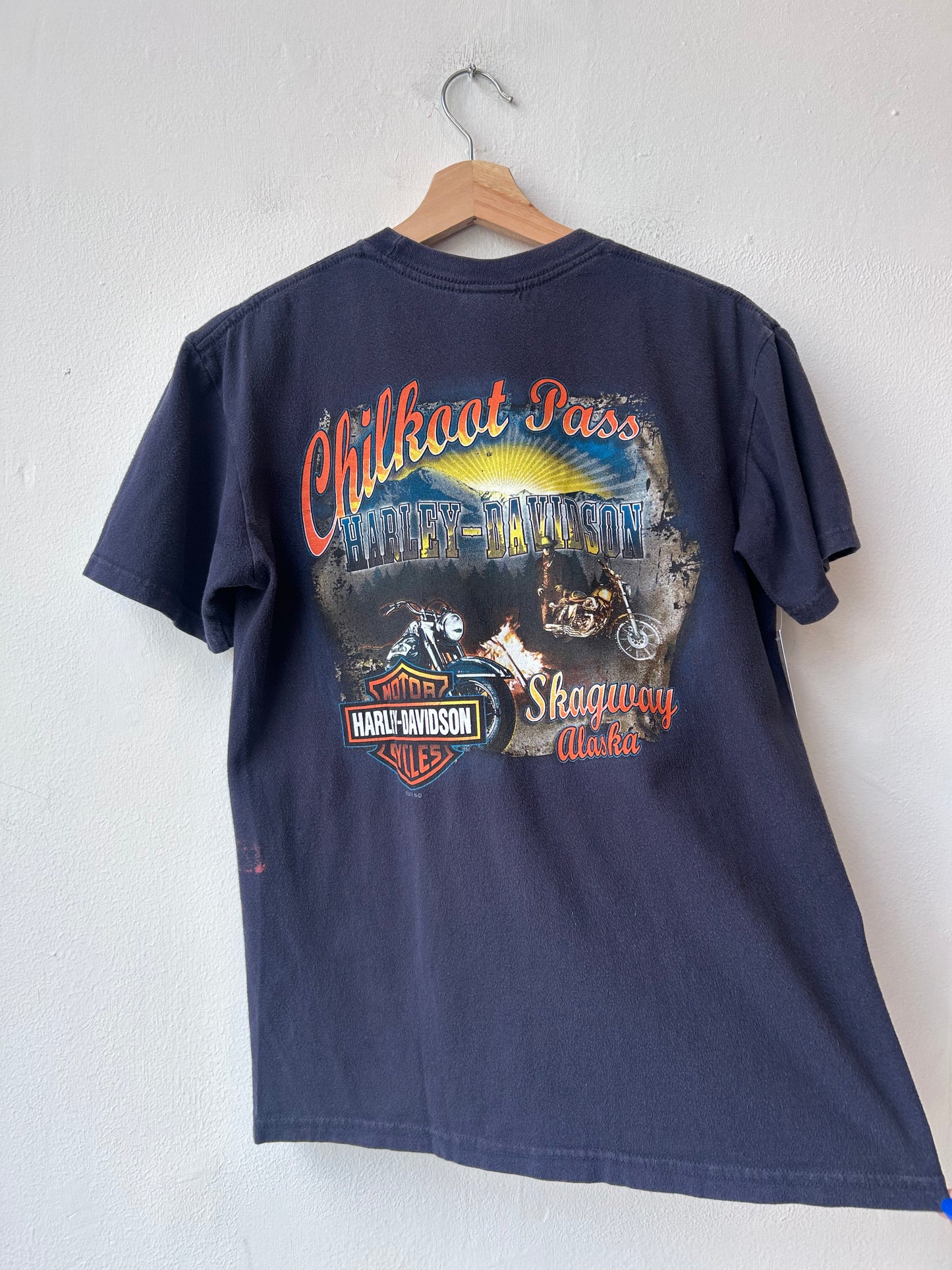 Y2K Harley Davidson Alaska T-Shirt