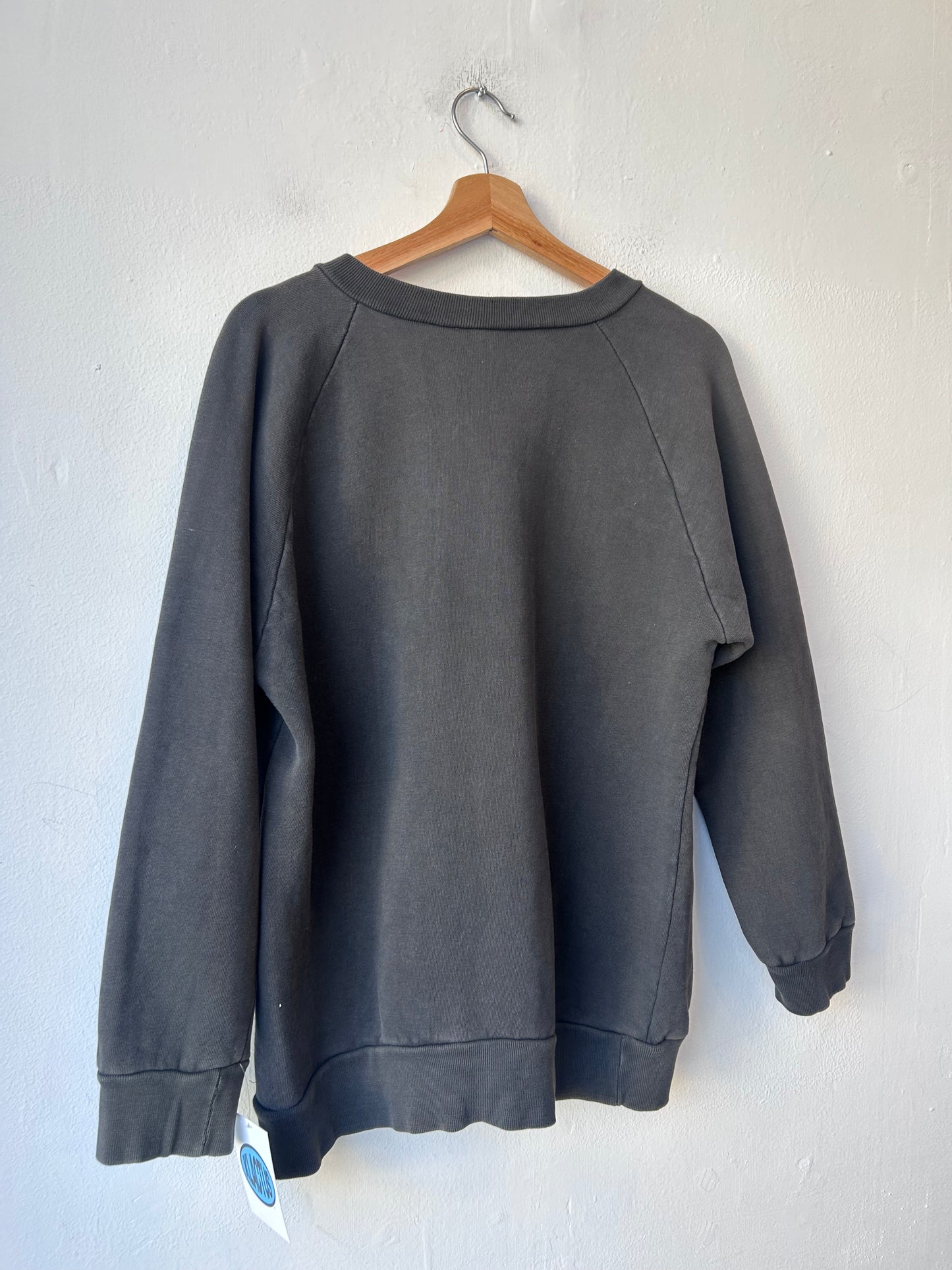 90's Great Wall Sweatshirt