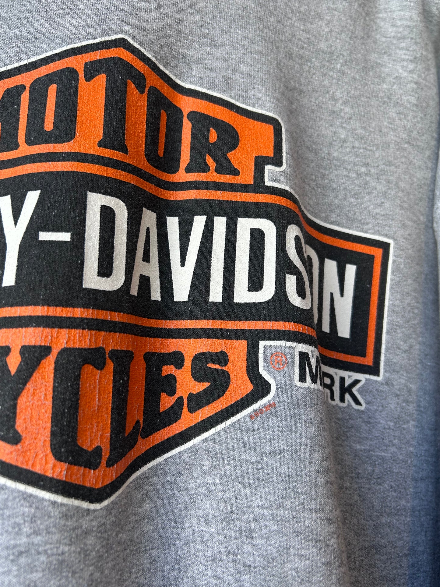 Y2K Harley Davidson Hoodie