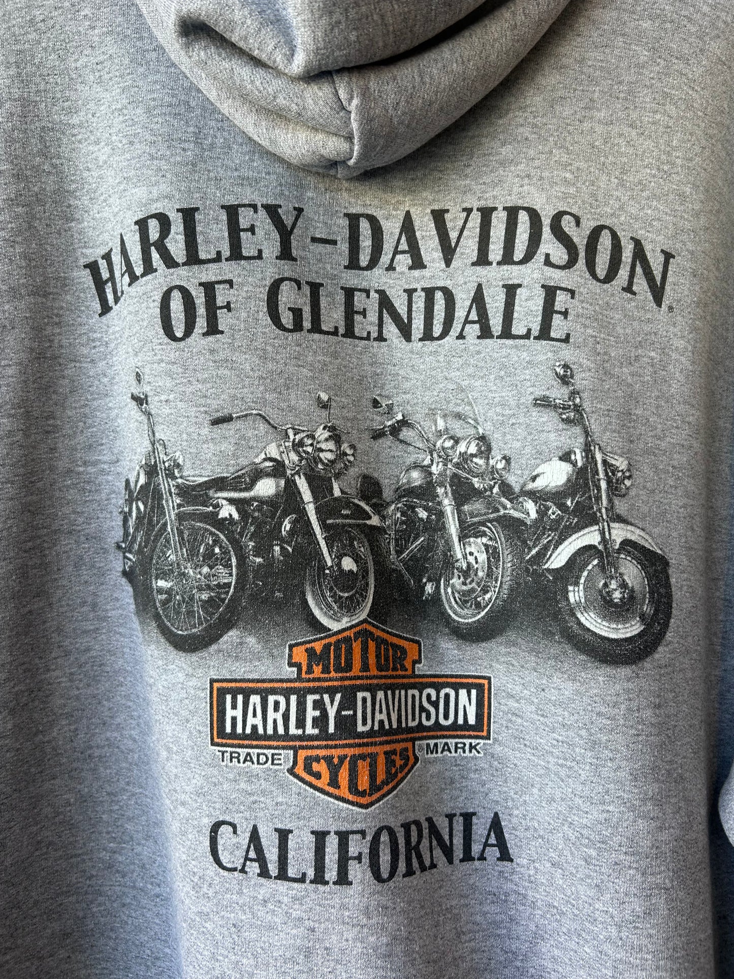 Y2K Harley Davidson Hoodie