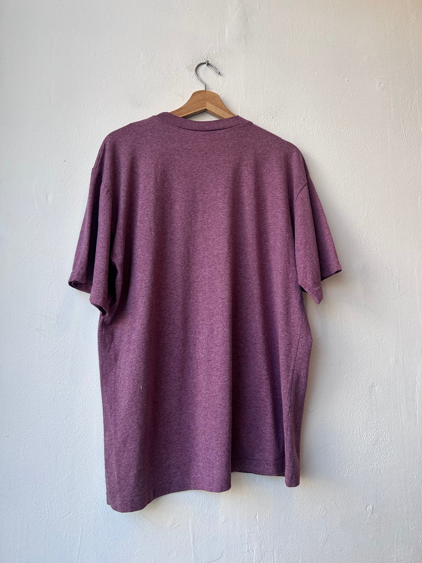 Y2K Horse at Sunset T-Shirt