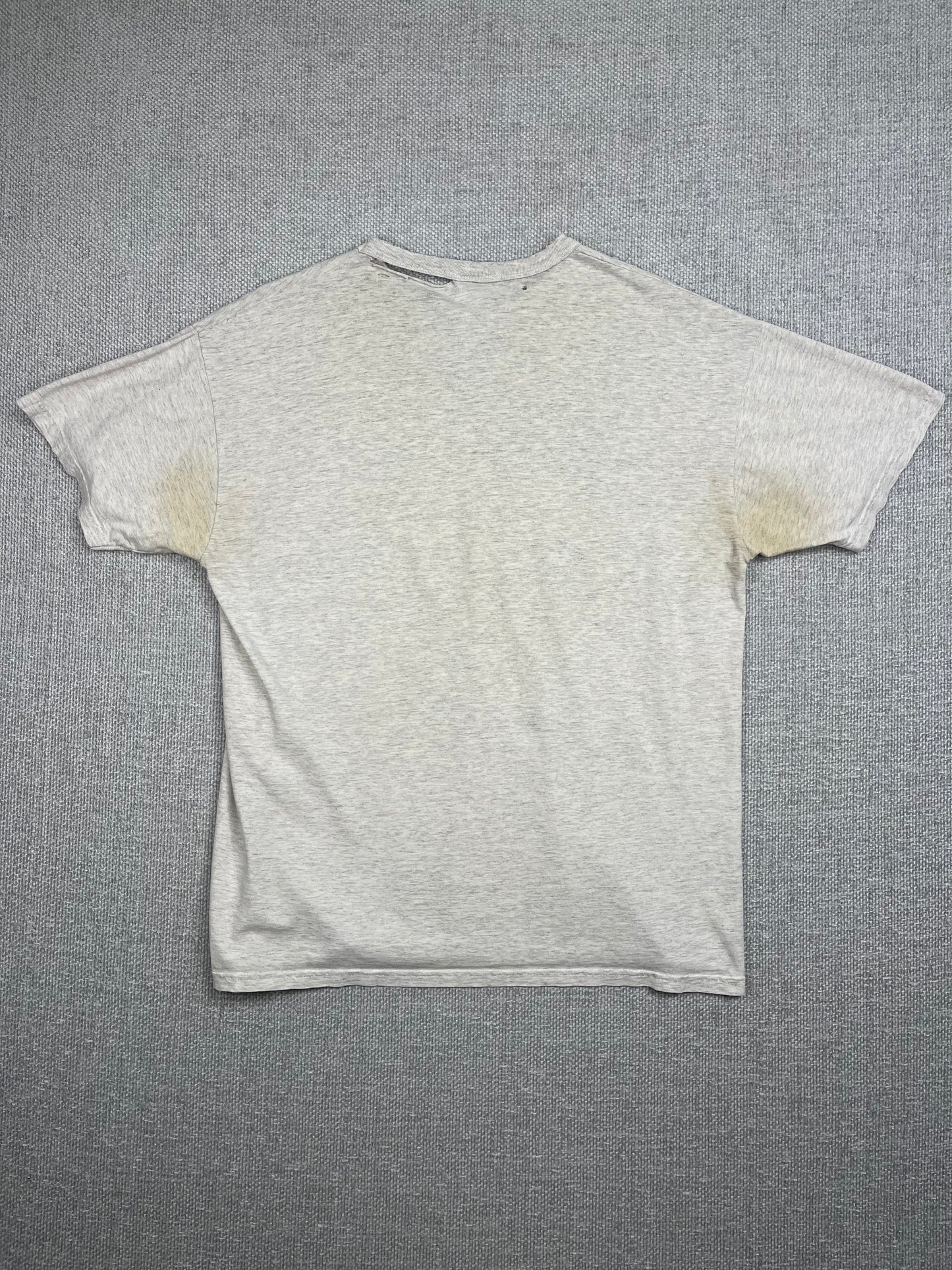 Y2K UCLA Alumni T-Shirt