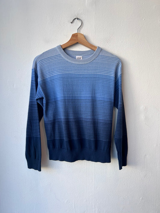 Y2K Blue GAP Stripe Sweater