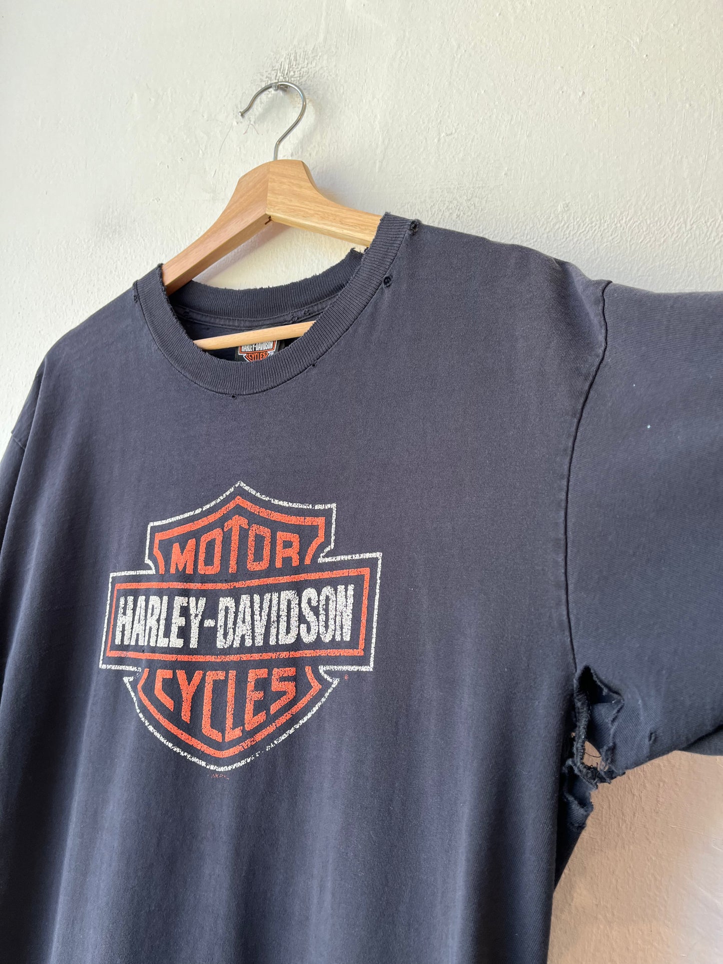Y2K Harley New Mexico Distressed T-Shirt
