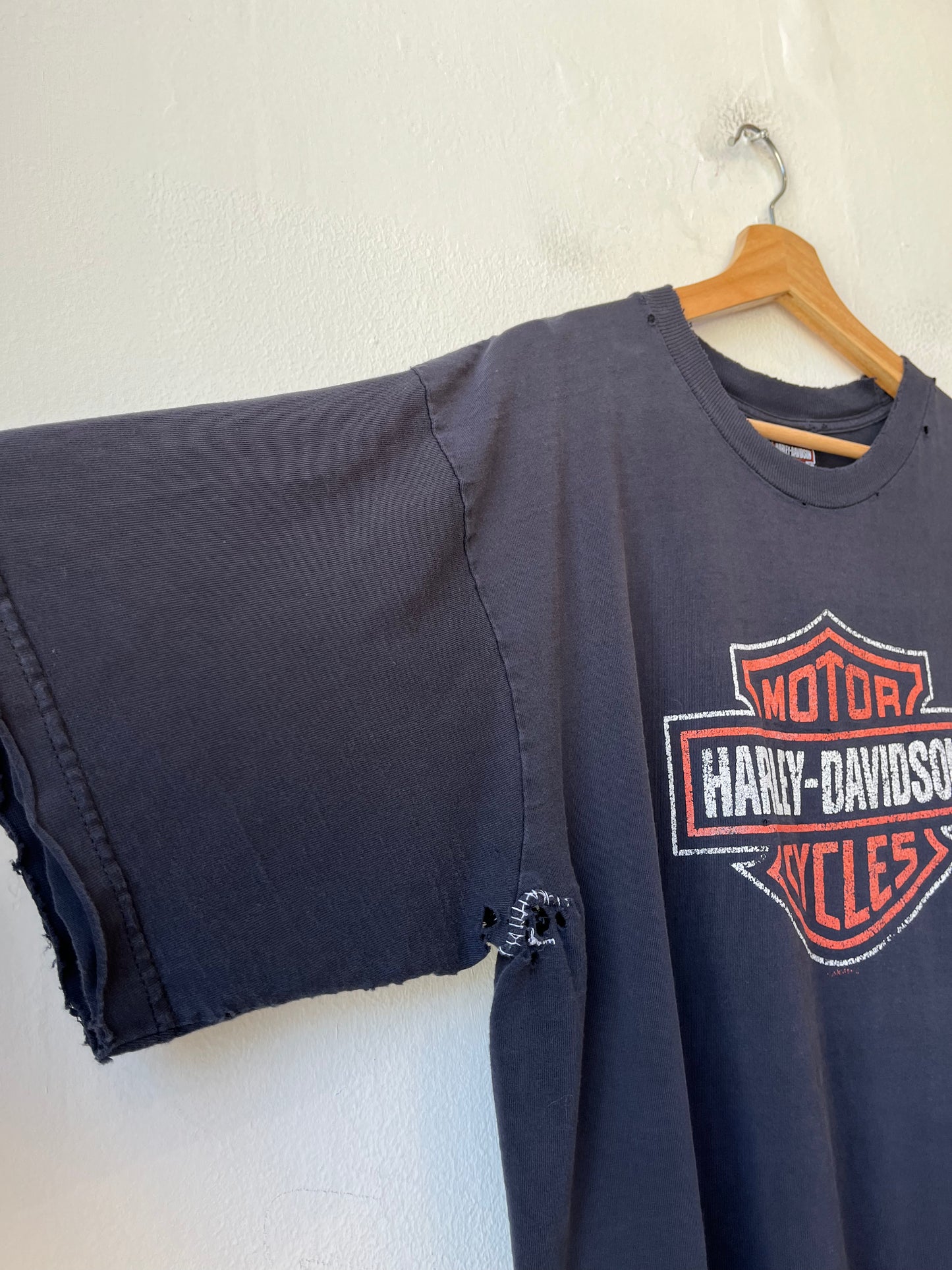 Y2K Harley New Mexico Distressed T-Shirt
