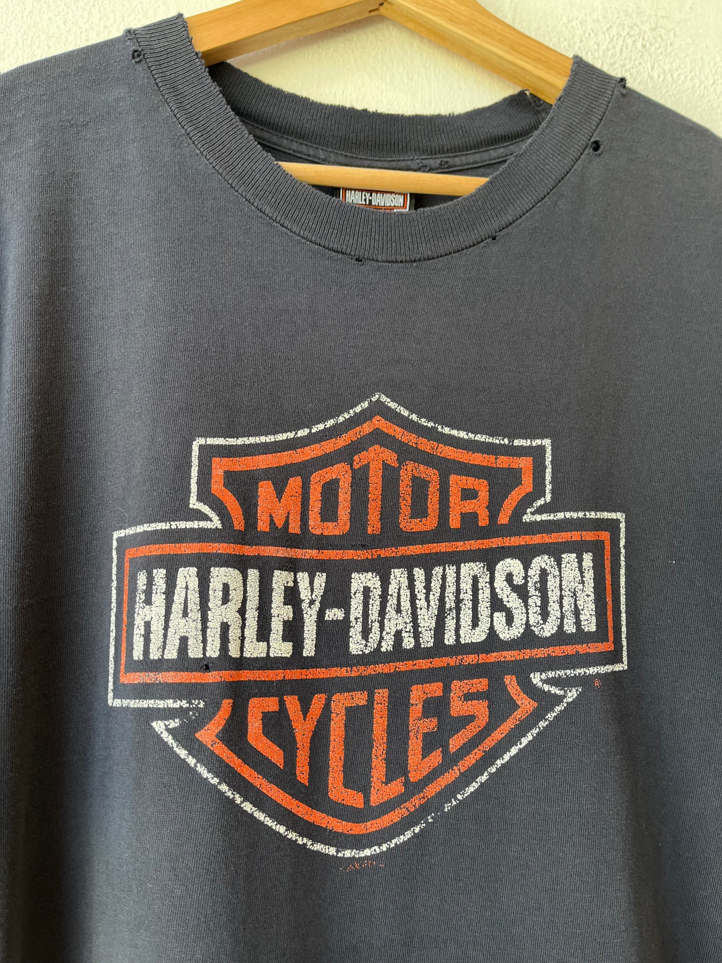 Y2K Harley New Mexico Distressed T-Shirt