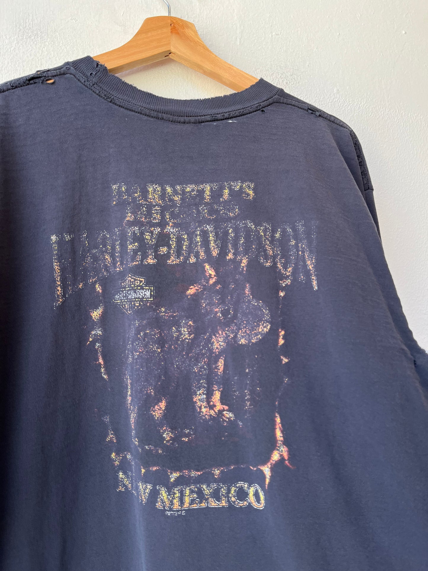 Y2K Harley New Mexico Distressed T-Shirt