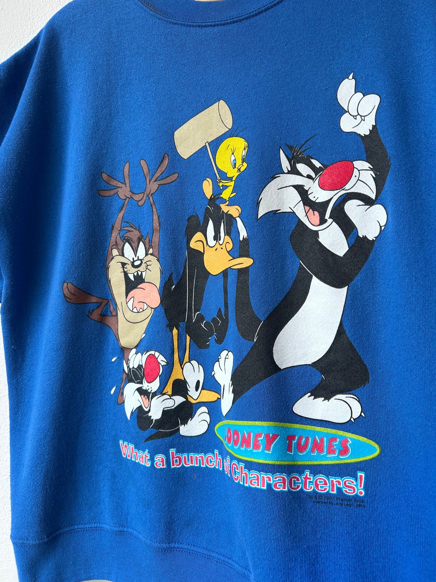1997 Looney Tunes Sleeveless Sweatshirt