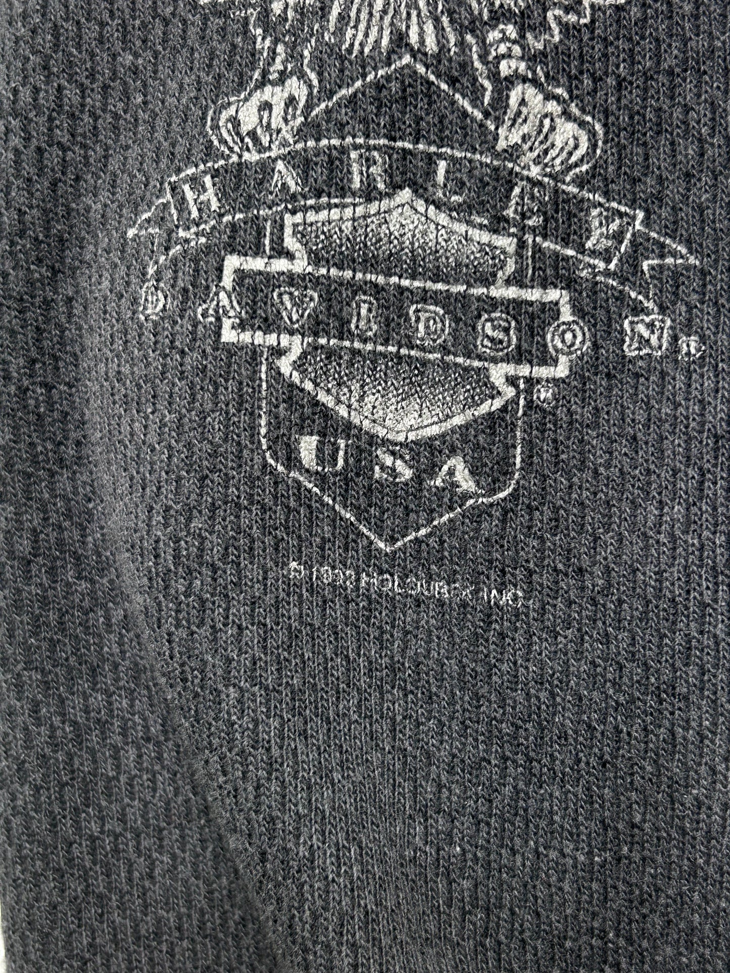 Y2K Harley Davidson San Jose Thermal