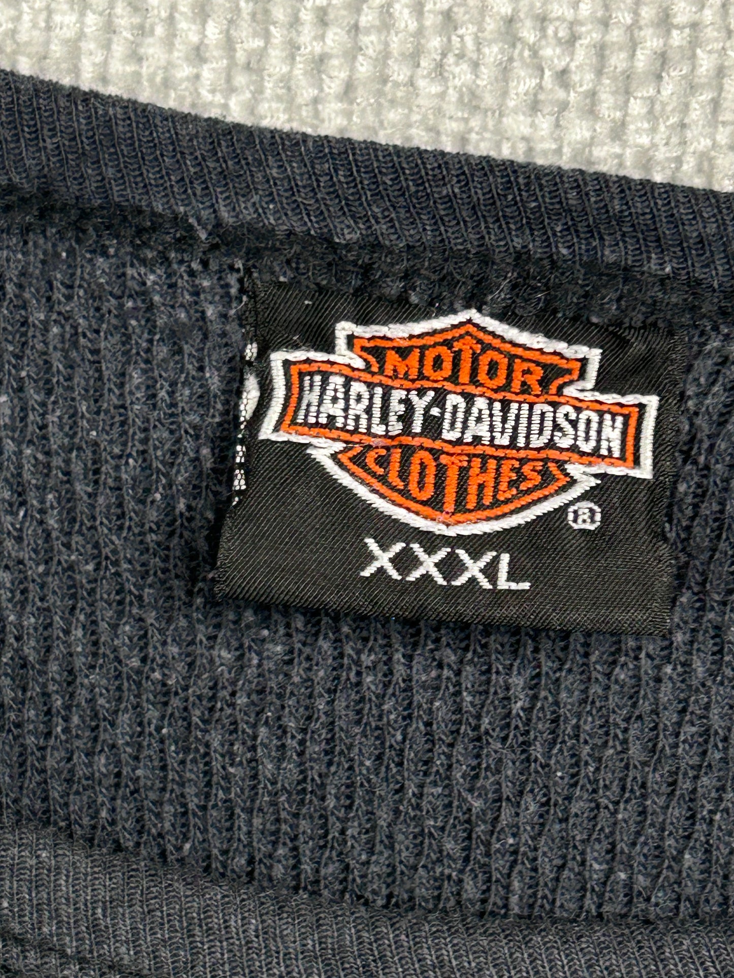 Y2K Harley Davidson San Jose Thermal